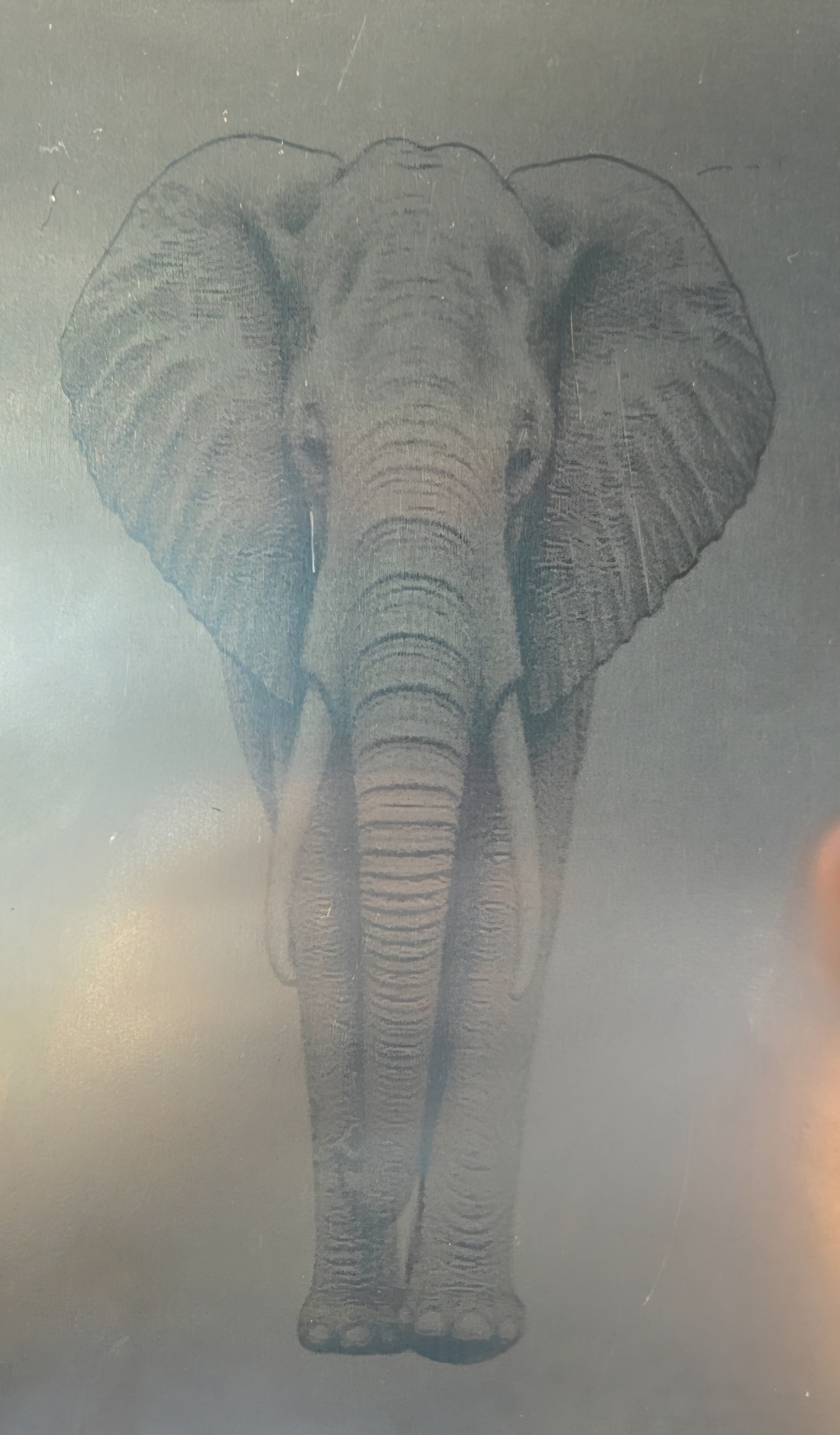 Metal etching: Elephant